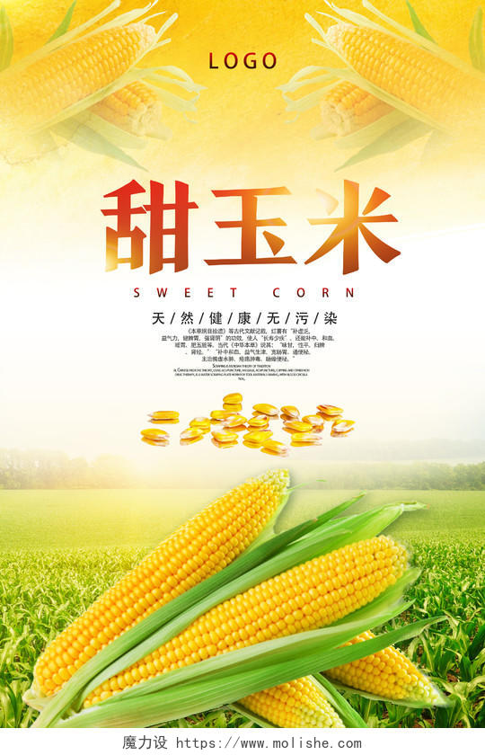 黄色简洁甜玉米玉米海报